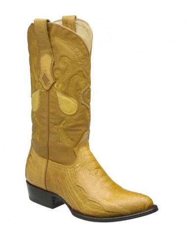 Cuadra Mens Pata de Avestruz Ostrich Leg Semi-oval Amarillo Comparez plus de prix