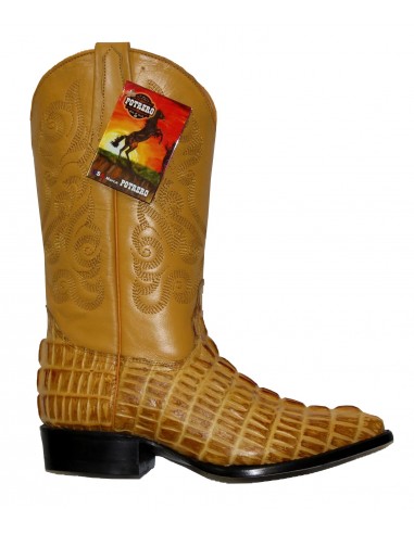 Potrero Boots Crocodile Print Buttercup 2023