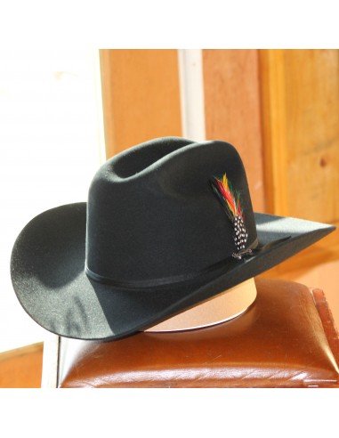 Stetson Spartan 6X Black Felt Hat (Copa Chica) brillant des détails fins