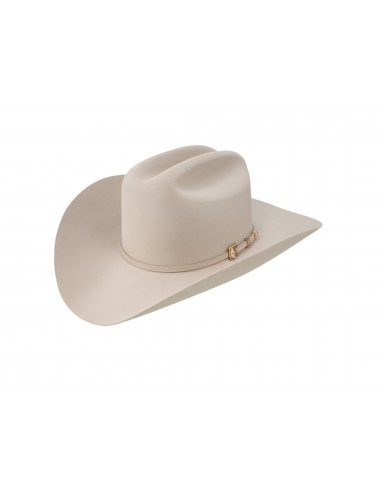 Stetson 6X Silverbelly Guadalupana Felt Hat de technologie