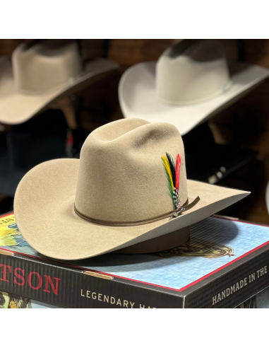 Stetson Rancher 6X Sahara Felt Hat offre 